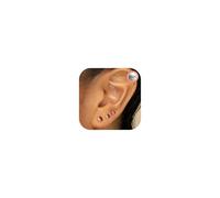 MACACHII Set de Pendientes Mujer Hombre Plata 925 - Stud Disco Plano Chapados en Oro 14K, Hipoalergénicos para Piercings Múltiples y Cartílago Tragus 2/3/4MM