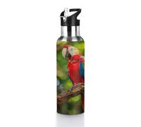 Macaw Parrot Branch - Botella de agua de acero inoxidable aislada al vacío, termo de doble pared, a prueba de fugas, con tapa, para deportes, senderismo, gimnasio, viajes, 2.8 x 11 pulgadas