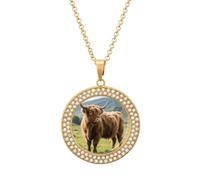maccbn Collar de diamantes de ganado escocés para mujer, collar conmemorativo para pareja, cadena de aleación de 20 pulgadas, collar con colgante de foto personalizada para cumpleaños, aniversario