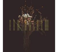 Macdougall - All The Hours I Have Left To Tell You Anything [Vinilo]