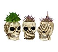 Maceta 3 macetas de resina con cabeza de calavera