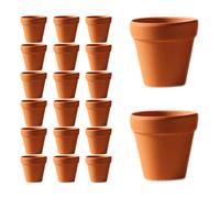 maceta 3x3 cm con agujero para cactus y suculentas 20