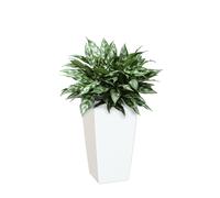 Maceta auto riego cuadrada de polipropileno artevasi pisa 40 x 78 x 40 cm blanco brillante