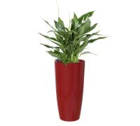 Maceta con soporte Artevasi Santorini SWS Rojo Oscuro Ø40 x H78 cm 72 L