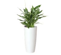 Maceta auto riego redonda de polipropileno artevasi santorini ø 78 cm y 78 cm altura blanco brillante