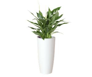 Maceta auto riego redonda de polipropileno artevasi santorini ø 78 cm y 78 cm altura blanco brillante