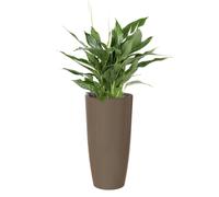 Maceta Artevasi Santorini SWS 78 BR Autorriego Taupe 72 L Ø40xH78 cm