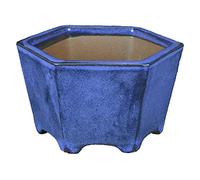 Maceta bonsai hexagonal de gres esmaltado azul 12x12x7,5 cm - YP45