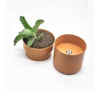 Maceta Caja Fuerte Oculta Con Llave, Resistente Al Agua | Caja Fuerte Secreta Para Interior/exterior, Dinero, Joyas, Llaves, Anillos Y Relojes(Brown)