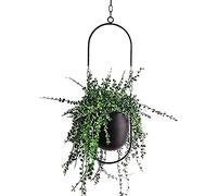 Maceta colgante de metal, estilo bohemio, para colgar en el techo, para plantas de interior, suculentas, plantas de aire, cactus (negro)