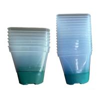Maceta cuadrada de plástico con silicona optimizada para transparencia para jardineros domésticos que propagan esquejes o nutren microgreens y brotes (verde 12)