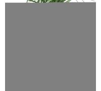 Maceta de Calavera,Macetas de Calavera para Plantas | Macetero suculento con forma de calavera | Maceta pequeña para plantas, macetero de resina para Halloween, macetero gótico, decoración del hogar