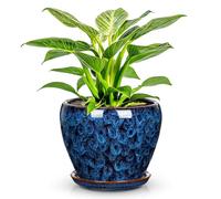 Maceta de cerámica Arborus de 11 cm con orificio de drenaje, macetero con bandeja, maceta azul de cerámica para plantas de interior, recipiente para plantar para hierbas, cactus, orquídeas, decoración