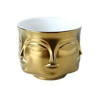 Maceta de cerámica dorada de cuatro caras para decoración del hogar con diseño de cactus suculentas para interiores