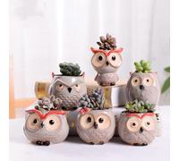 Maceta de cerámica para suculentas con forma de búho, color gris, ideal para macetas, cactus y plantas,