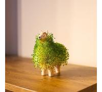 Maceta de chía en Forma de Llama | Chía Planter | Kit de Cultivo | Color Blanco | Kit de iniciación de Semillas de chia | Juego para Cultivar Semillas de chía | Ideal para Regalo