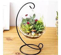 Maceta de Cristal Colgante Redonda, Jarrón Colgante para Plantas de Aire, Terrario, Bola Colgante, Terrario Grande Transparente, Jarrón de Flores, Maceta, Contenedor, Jarrón para Plantas de Aire, Jard