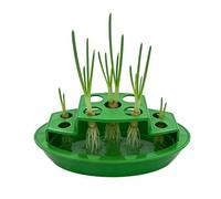 Maceta De Cultivo De Cebolleta - De Regeneración De Plántulas Hidropónicas, Bandeja De Inicio Verde | Estante Compacto Para Plantar Cebollas Y Verduras Para El Hogar, Cocina Interior, Ventana