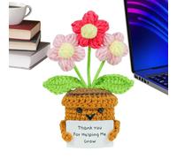 Maceta de ganchillo, hecha a mano, decoración para el escritorio del hogar, plantas de ganchillo, para mujeres, amigas, amigas, maestras, graduaciones, cumpleaños, día del padre