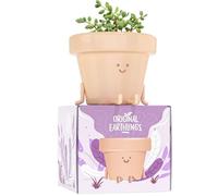 Maceta de interior con patas hacia afuera, maceta única y bonita con cara, maceta de regalo para suculentas/cactus de 3.5 pulgadas con agujero de drenaje, maceta decorativa, maceta novedosa (1 maceta