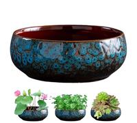 Maceta de loto, cuencos de loto para plantar en agua en interiores, cuenco de bonsái, maceta de semillas de flor de loto, decoración de macetas hidropónicas para interiores, maceta hidropónica blanca