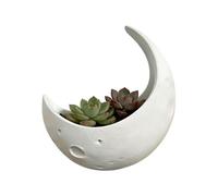 Maceta de media luna, maceta de interior, bonita maceta con mini cactus, maceta estilo luna con aspecto moderno, jardinería interior para balcón y jardín, 6.3 x 4.57 x 7.09 pulgadas