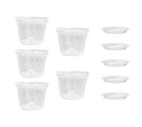 Maceta De Orquídeas - 5pcs Planes De Jardineras Drenantes | Macetas De Transparentes, Macetas De Jardín Transpirable con Agujeros, Plantación De Contenedores para Jardinería De Croissanc