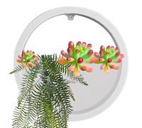 Maceta de pared | Jarrón transparente para plantas de aire, jarrón de pared, maceta, círculo, macetero, jarrón, decoración, soporte para contenedores