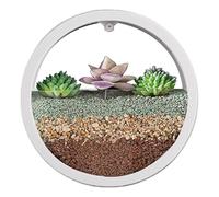Maceta de pared redonda, florero de maceteros de pared,Maceta con jarrón de pared transparente | Florero de pared, macetero suculento circular, maceta redonda para flores, contenedor Vertical para int