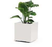 Maceta De Planta GREENER KEBE 40 CM Blanca