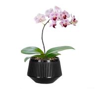 Maceta de plástico de doble capa blanca de 15,7 cm con control de raíces, lavabo transpirable para orquídeas interiores y jardín, decoración del hogar