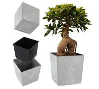 KADAX Maceta de plástico resistente a la intemperie para balcón, terraza, interior, maceta ligera con inserción, maceta para plantas, maceta para flores (hormigón gris, altura: 19,5 cm), K9936