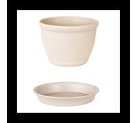 Maceta de resina espesa con bandeja, suministros de jardín de plástico redondo, macetero suculento, color blanco