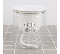 Maceta de riego automático con propiedades de ahorro de agua y resistentes a la sequía, construcción de PET transpirable y resistente (parte inferior redonda)