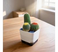 Maceta de riego automático equipada con drenaje para plantas de interior con monitoreo de nivel de agua y bandeja para captura de exceso de agua (tamaño grande)