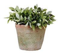 Maceta De Terracota Envejecida De 12 Cm Alta, Macetero Redondo Para Plantas