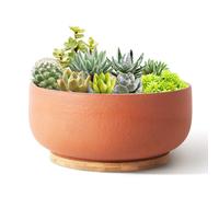 Maceta de terracota SQOWL para suculentas, maceta redonda de cer mica de 8 pulgadas, maceta de arcilla para cactus con orificio de drenaje y band