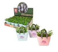 Maceta Decorativa Rena Sweet Home con Planta
