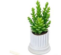 Maceta esmaltada de columna romana para suculentas, color blanco, 10 x 10 x 11 cm, maceta decorativa clásica para interiores y exteriores, hogar, jardín, oficina, boda, fiesta, exhibición, plantas