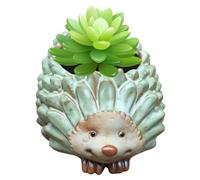 Maceta floral de cerámica, maceta de cactus rizado, simpática maceta para plantas suculentas, maceta con agujeros para plantas suculentas, plantas de interior, maceta para plantas rizadas