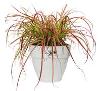 Maceta flores blanca plástico reciclado 35x29cm 18,2L
