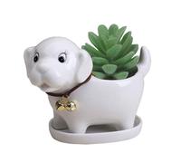 Maceta Gemseek con forma de perro y bandeja de drenaje para suculentas, de cer mica blanca, peque a, para cactus y flores, con forma de animal, p