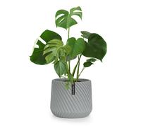 Maceta hecha a mano de polystone apto para plantas Fox & Fern