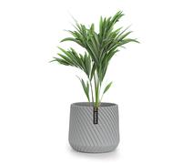 Maceta hecha a mano de polystone apto para plantas Fox & Fern