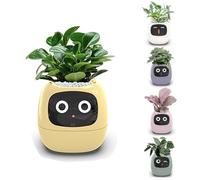 Maceta inteligente con chips de IA, 7 sensores, pantalla LCD y control de aplicación para jardinería en casa, muestra la hora, la fecha y el clima