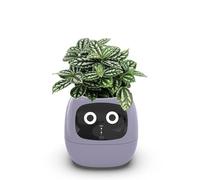 Maceta inteligente con pantalla LCD, chips de IA, control de aplicación y 7 sensores inteligentes para el cuidado inteligente de las plantas y visualización del clima