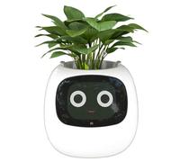 Maceta inteligente de interior con 49 expresiones, 7 sensores, pantalla LCD, control de aplicación para escritorio del hogar y la oficina