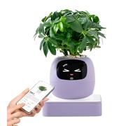 Maceta inteligente de múltiples expresiones con inteligencia artificial, maceta pequeña para , para interiores, hogar, apartamento, sala de estar, dormitorio, balcón, patio, principiantes