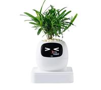 Maceta inteligente, mascota inteligente con inteligencia artificial, componentes electrónicos ABS+, maceta para suculentas, cuidado interactivo de plantas, con múltiples expresiones, para el hogar