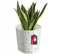 Maceta KADAX, maceta de plástico, 19 cm, terrazo